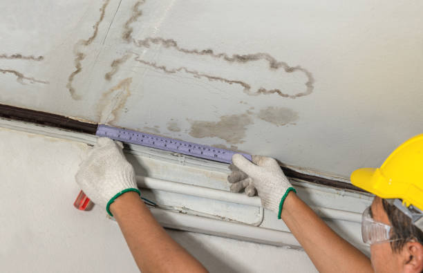 Reliable Burst Pipe Cleanup contractor in Ypsilanti, MI by Local Water Damage Repair